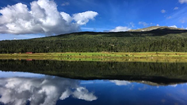 Andel i Hovden Golfklubb