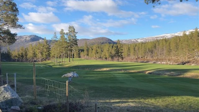 Høstdugnad på Ørnefjell