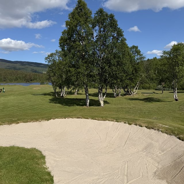 Bunkerdugnad